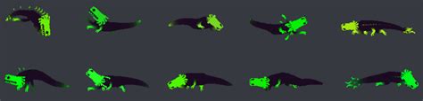 File:Green Lizard variants and attributes.png - Official Rain World Wiki