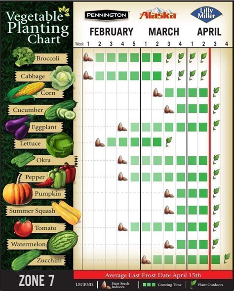 Vegetable Planting Chart for Zone 7 || Here is what my planting chart ...