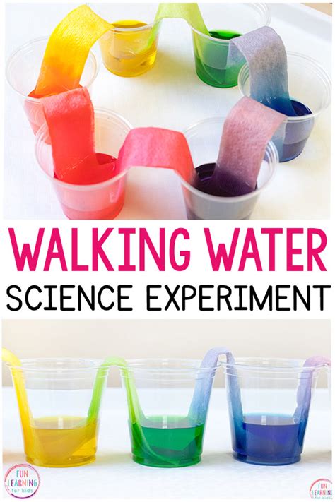 Rainbow Walking Water Science Experiment for Kids