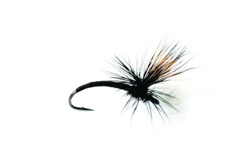 10 classic dry flies for trout • Outdoor Canada