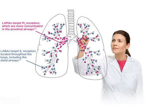 Dual Bronchodilation | LAMA/LABA Combination | BEVESPI AEROSPHERE® (glycopyrrolate/ formoterol ...