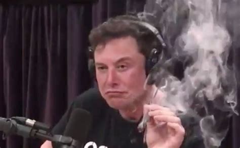 Elon Musk smokes weed on Joe Rogan podcast; Tesla stock drops as execs quit - syracuse.com