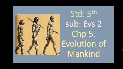 Evolution Of Mankind