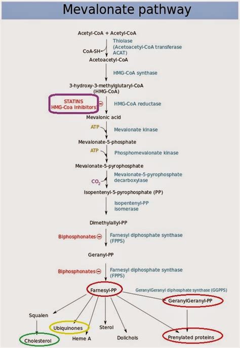 Tuit Nutrition: Statins: Sugar-Coating the Truth