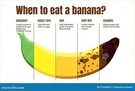 Banana Ripeness Stages Infographics Chart. Bunch Of Bananas Colour Gradation Set. Ripening ...