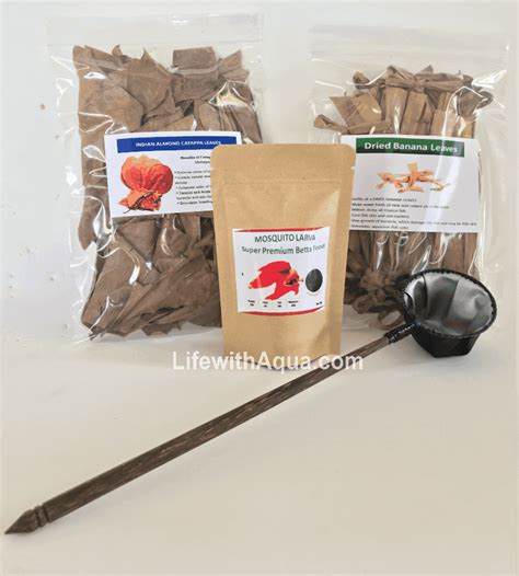 Betta Fish Care Set Bundle - LifewithAqua