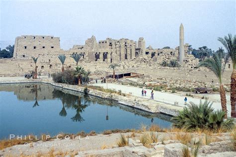 Photo of Karnak Temple – Natural History Photography Blog