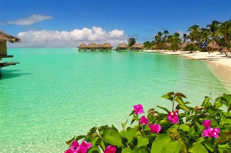 Bora Bora Wallpaper High Resolution | Beach wallpaper, Pretty beach, Bora bora beaches