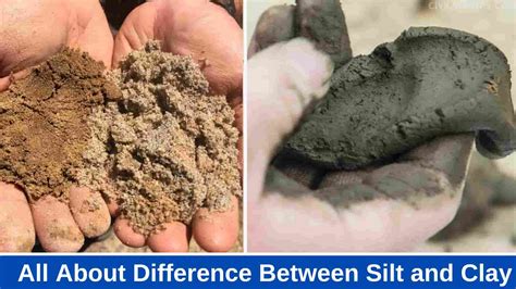 11 Difference Between Silt and Clay - Civil Scoops