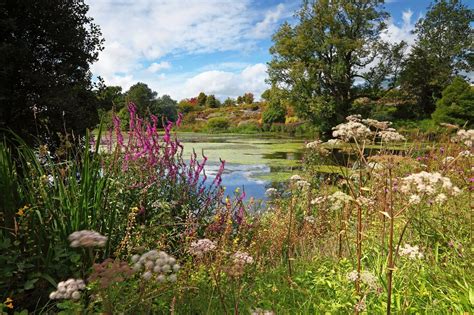 10 of the best gardens in Wales - Wales Online