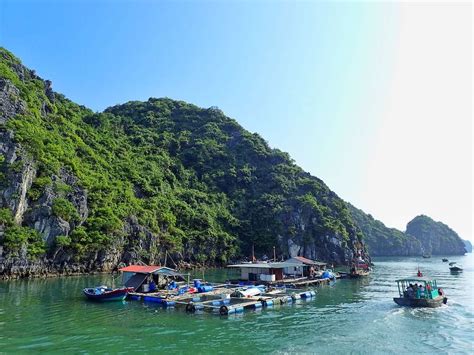 15 Awesome Things To Do In Cat Ba Island Vietnam - The Whole World Or ...