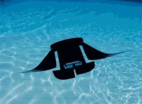 manta ray robot proposes future of fast autonomous underwater vehicles ...