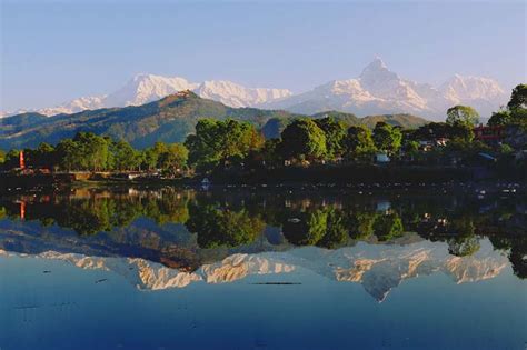 Fish released into Fewa lake | Nepalnews