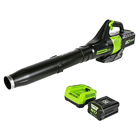 10 Best Battery Leaf Blower – According To Experts – Cchit.org