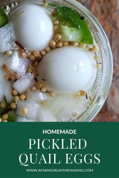 Easy pickled quail eggs – Artofit