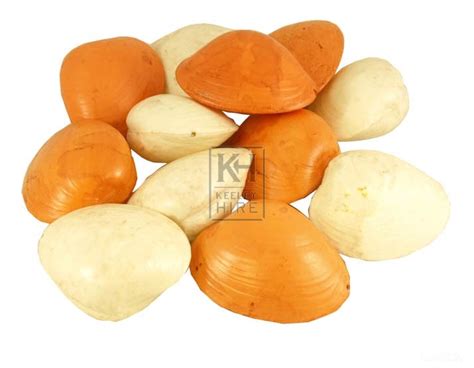 Food Prop Hire » Clam shells - Keeley Hire