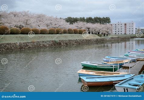 Cherry Blossom of Goryokaku Park, Hakodate, Japan Stock Image - Image of garden, beautiful ...