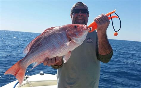 Best Holiday Florida Fishing Charters Near Me | New Smyrna Beach