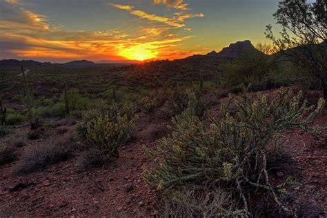 Sonoran Desert Sunset Photograph by Sue Cullumber - Pixels