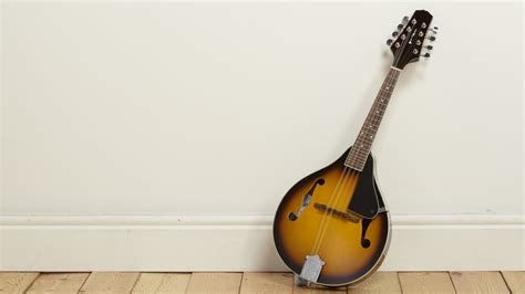 What Are the Best Mandolin Brands? - Folkstrings.com