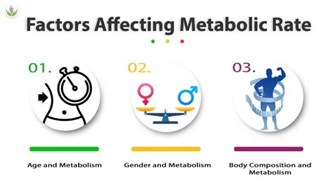 Metabolism Matters: The Science Behind Weight Control | Care Well Medical Centre