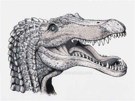 Spinosaurus head study by Almayer | Spinosaurus, Dinosaur drawing ...