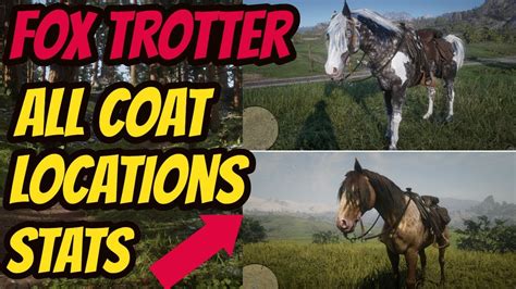 Missouri Fox Trotter Rdr2