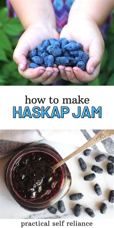 Haskap Jam (Honeyberry Jam) | Recipe | Berries recipes, Edible flowers ...