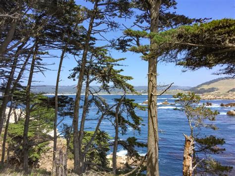 Point Lobos Hiking: Top 6 Trails to Hike at the California Coastal Park! - Roadtripping California