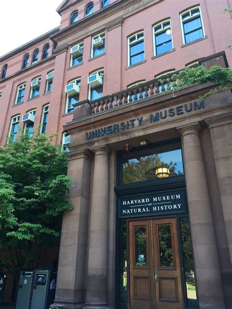 Orange Slices: Harvard Museum of Natural History