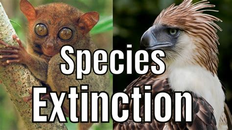 SPECIES EXTINCTION | Causes of Species Extinction (Grade 9) - YouTube