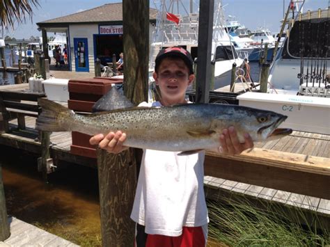 Orange Beach Fishing Report - Orange Beach Fishing Charters and Saltwater Fishing Guides