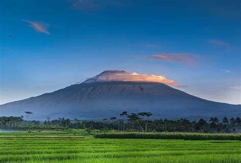 Gunung Slamet, Nikmati Samudera Awan Diatas Ketinggian – NativeIndonesia.com