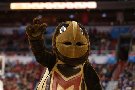 Wisconsin basketball: Why your mascot sucks: University of Maryland ...