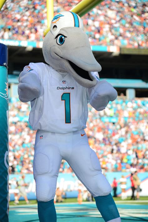 Dolphins Mascot 2022