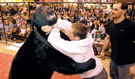 Wrestling a bear! - College Wrestling - Intermat