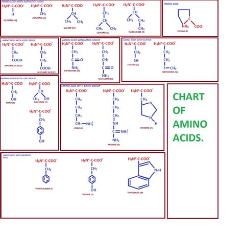 Shelford Tutorials: classification of amino acids