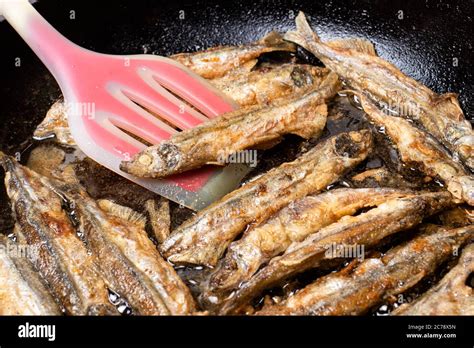 Capelin fish hi-res stock photography and images - Alamy