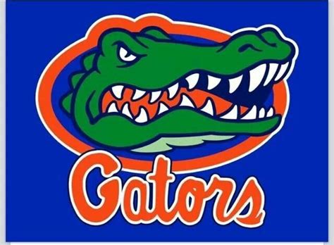 Go Gators! | Florida Gators | Pinterest