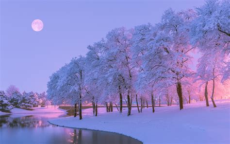 Wallpaper Beautiful Winter, Snow, Trees, River, Moon, - Christmas Blue Pink Aesthetic ...