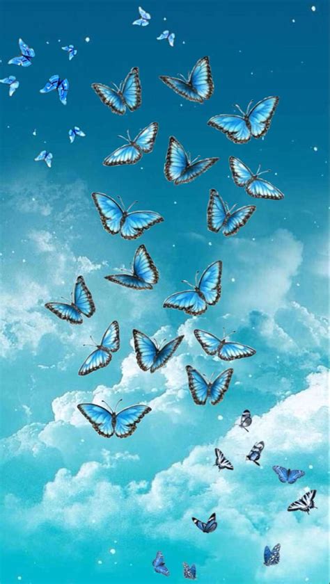 Sky Blue Butterfly Wallpapers