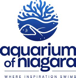 breaking the ice: penguins - Aquarium of Niagara