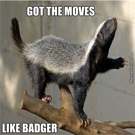 [Image - 718118] | Honey Badger | Know Your Meme