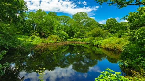 Boston Greenery Massachusetts Park And Pond With Reflection Of Trees Clouds And Blue Sky HD ...