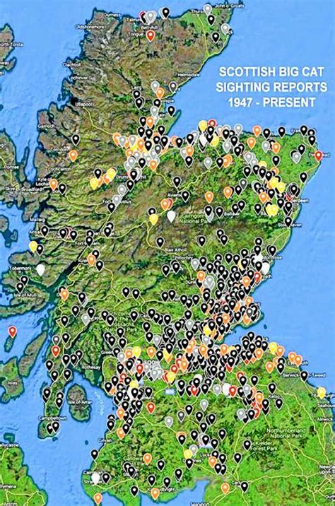 a collated map of big cat sightings across scotland made by paul ...