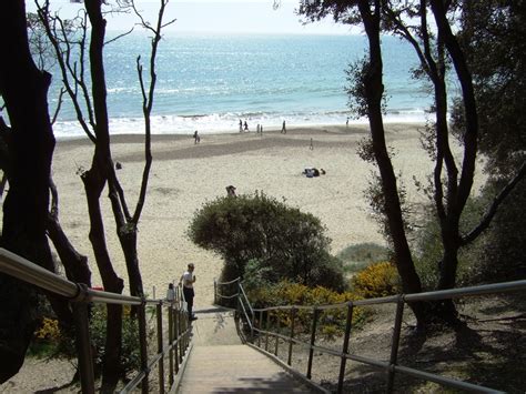 Is Highcliffe Beach Dog Friendly