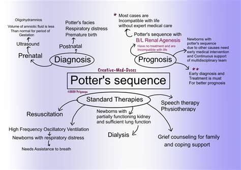 Potter’s Sequence - Creative Med Doses