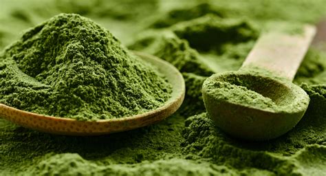 Chlorella Powder: What Is It and How to Take It? | YHD Blog