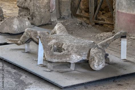 Archaeological Park of Pompeii. Plaster casts of the bodies of men from ...