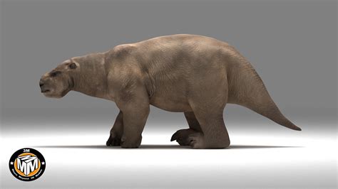 3D lestodon extinct latin model - TurboSquid 1278602